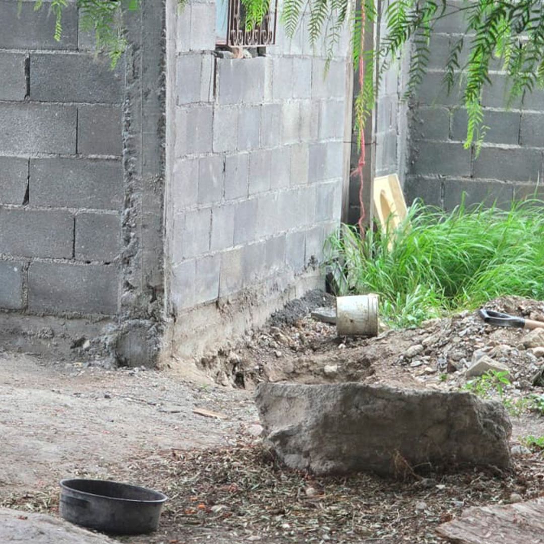 Muere Perro que fue Rescatado de un Hoyo en Saltillo